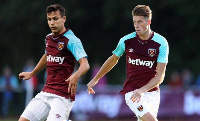 11分的优 11分的优